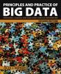 Principles And Practice Of Big Data - Preview