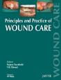 Principles And Practice Of Wound Care - Preview