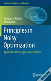 Principles In Noisy Optimization
