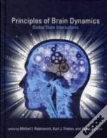 Principles Of Brain Dynamics