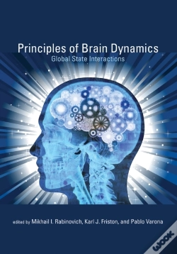 Capa do artigo Principles Of Brain Dynamics