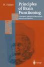 Principles Of Brain Functioning - Preview