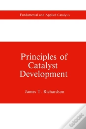 Capa do artigo Principles Of Catalyst Development