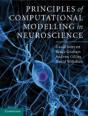 Principles Of Computational Modelling In Neuroscience - Preview