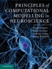 Capa do artigo Principles Of Computational Modelling In Neuroscience