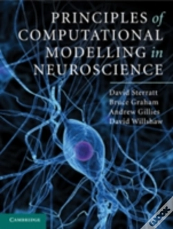 Capa do artigo Principles Of Computational Modelling In Neuroscience