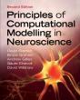 Principles Of Computational Modelling In Neuroscience - Preview