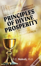 Capa do artigo Principles Of Divine Prosperity