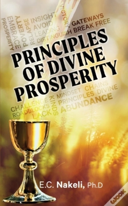 Capa do artigo Principles Of Divine Prosperity