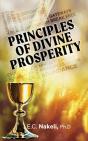 Principles Of Divine Prosperity - Preview