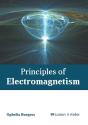 Principles Of Electromagnetism - Preview