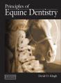 Principles Of Equine Dentistry - Preview