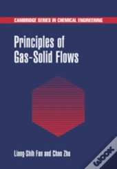 Principles Of Gas-Solid Flows