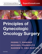 Capa do artigo Principles Of Gynecologic Oncology Surgery