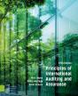 Principles Of International Auditing And Assurance - Preview