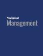 Principles Of Management - Preview