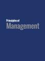 Principles Of Management - Preview