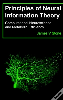 Capa do artigo Principles Of Neural Information Theory