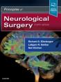 Principles Of Neurological Surgery - Preview