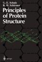 Principles Of Protein Structure - Preview