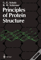 Principles Of Protein Structure