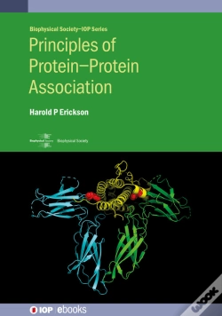 Capa do artigo Principles Of Proteinprotein Association