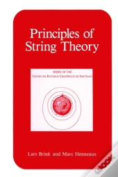 Principles Of String Theory