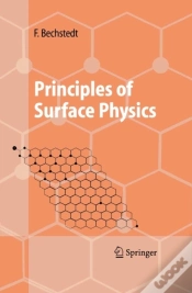 Capa do artigo Principles Of Surface Physics