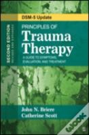 Principles Of Trauma Therapy