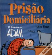 Prisão Domiciliária