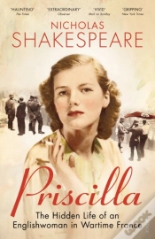 Capa do artigo Priscilla