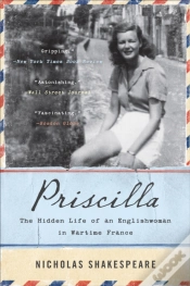 Capa do artigo Priscilla