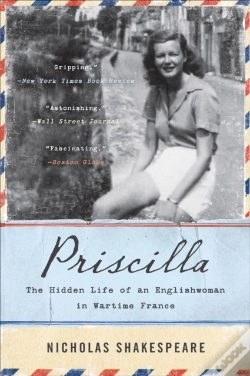 Capa do artigo Priscilla