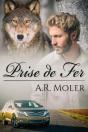 Prise De Fer - Preview