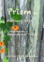 Prism 38 - February 2019 - Preview