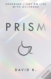 Capa do artigo Prism