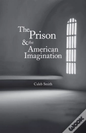 Prison And The American Imagination
