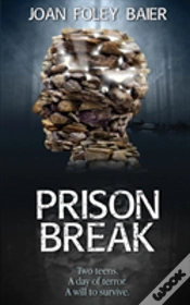Capa do artigo Prison Break