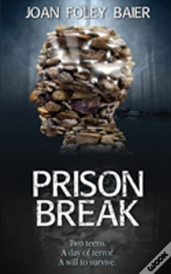 Capa do artigo Prison Break