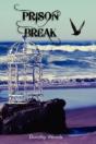 Prison Break - Preview