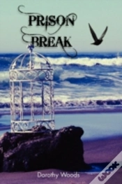 Capa do artigo Prison Break