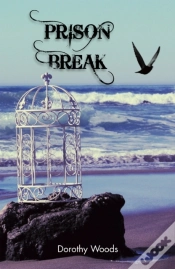 Capa do artigo Prison Break