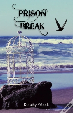 Capa do artigo Prison Break