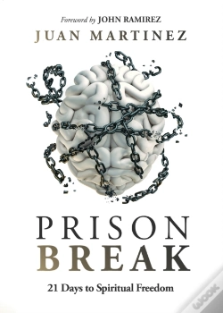 Capa do artigo Prison Break