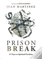 Capa do artigo Prison Break