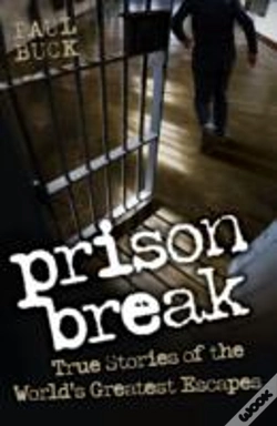Capa do artigo Prison Break