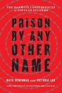 Prison By Any Other Name - Preview
