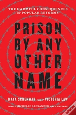 Capa do artigo Prison By Any Other Name