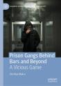 Prison Gangs Behind Bars And Beyond - Preview