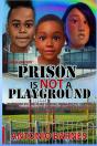 Prison Is Not A Playground - Preview